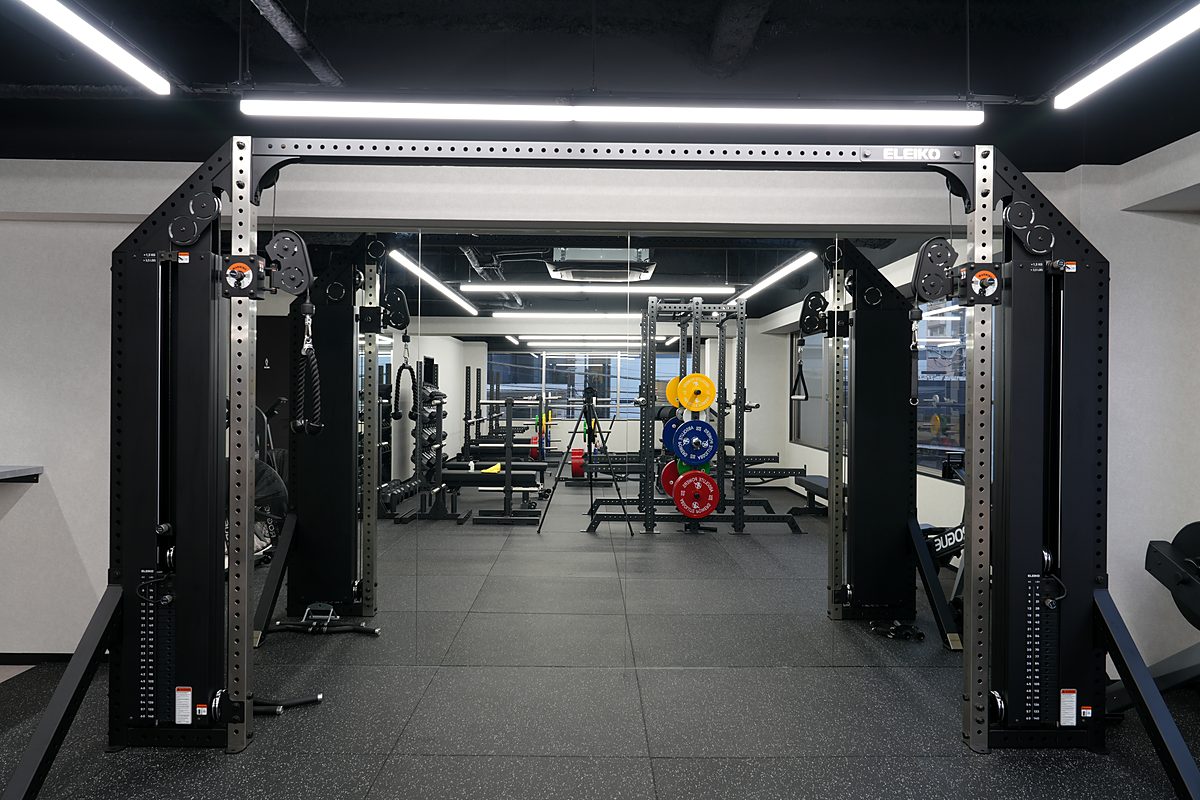 Eleiko Cable Cross 120 kg