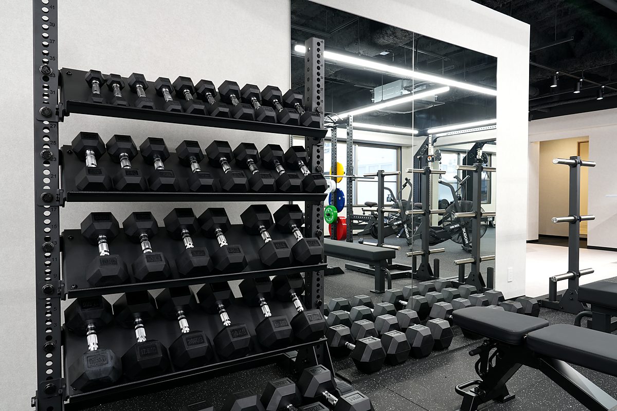 Hex dumbbell rack