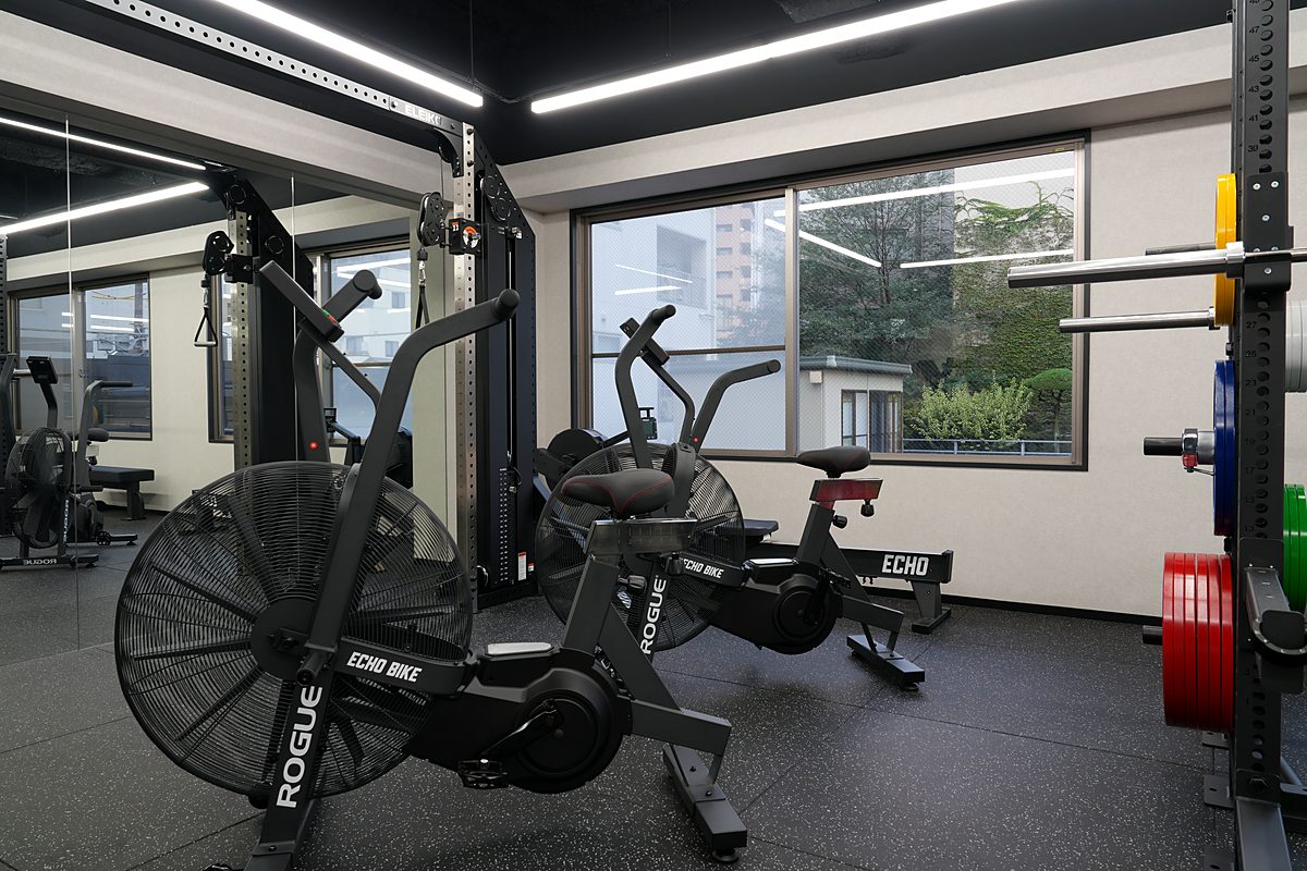 ROGUE Echo Bike